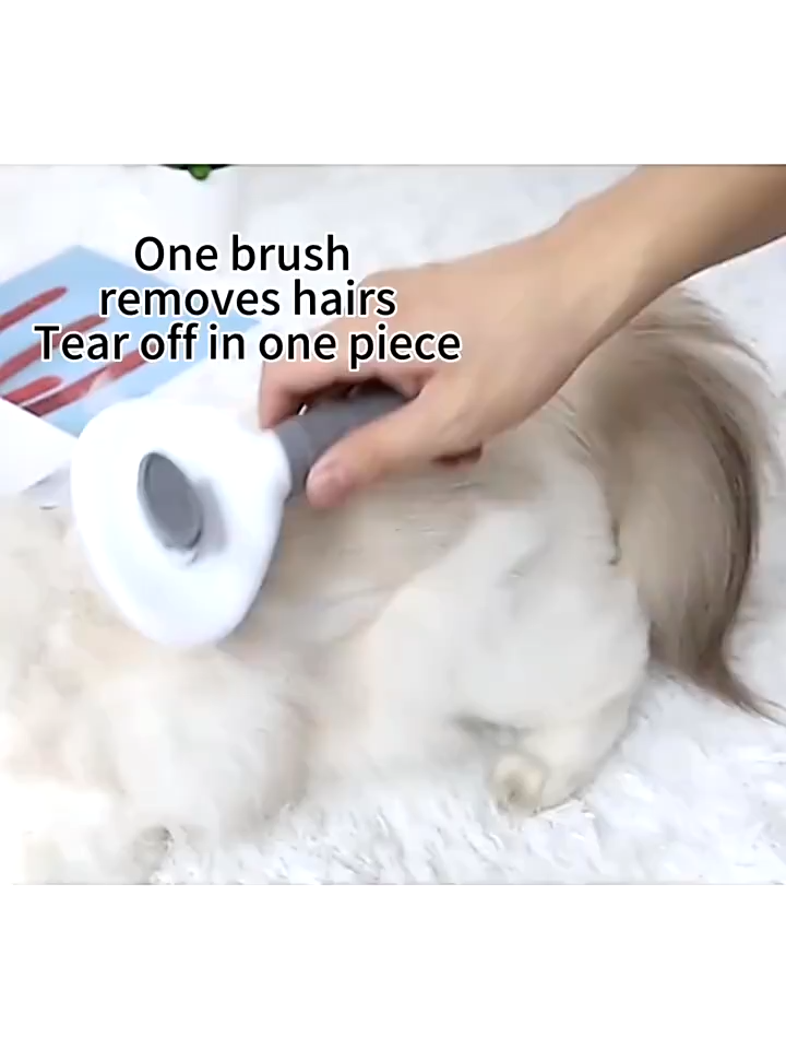 [SG STOCK] Dog Cat Fur Grooming | Thick Thin Needle Comb Brush | Pet Brush Comb | Self Cleaning | Dog Brush Cat Brush