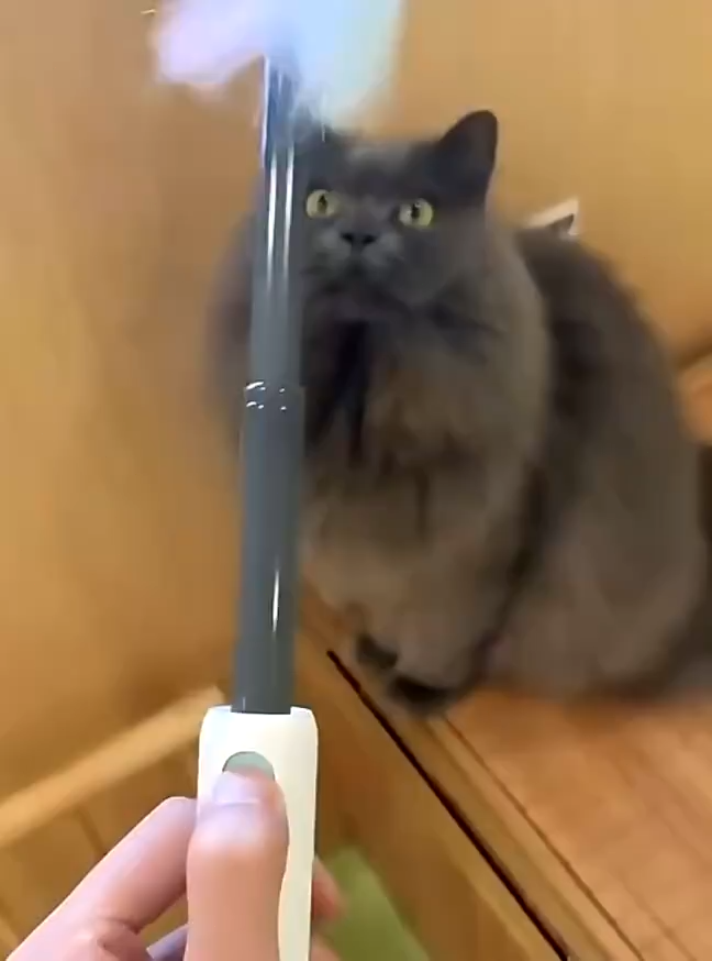 2 in 1Cat Teaser Stick USB Laser Telescopic cat teaser stick Pet Interaction Tease Funny Pointer Playing Cat Toy